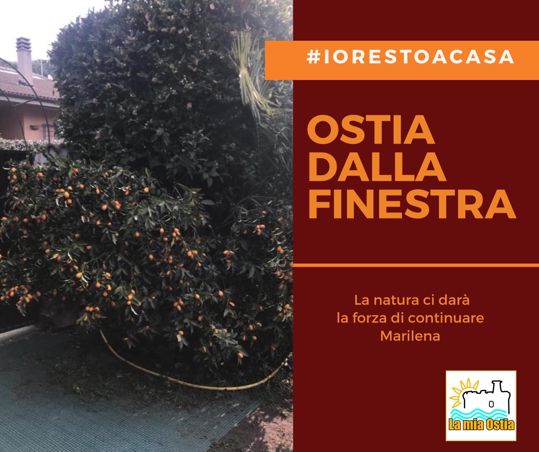 Ostia dalla finestra: mese di marzo